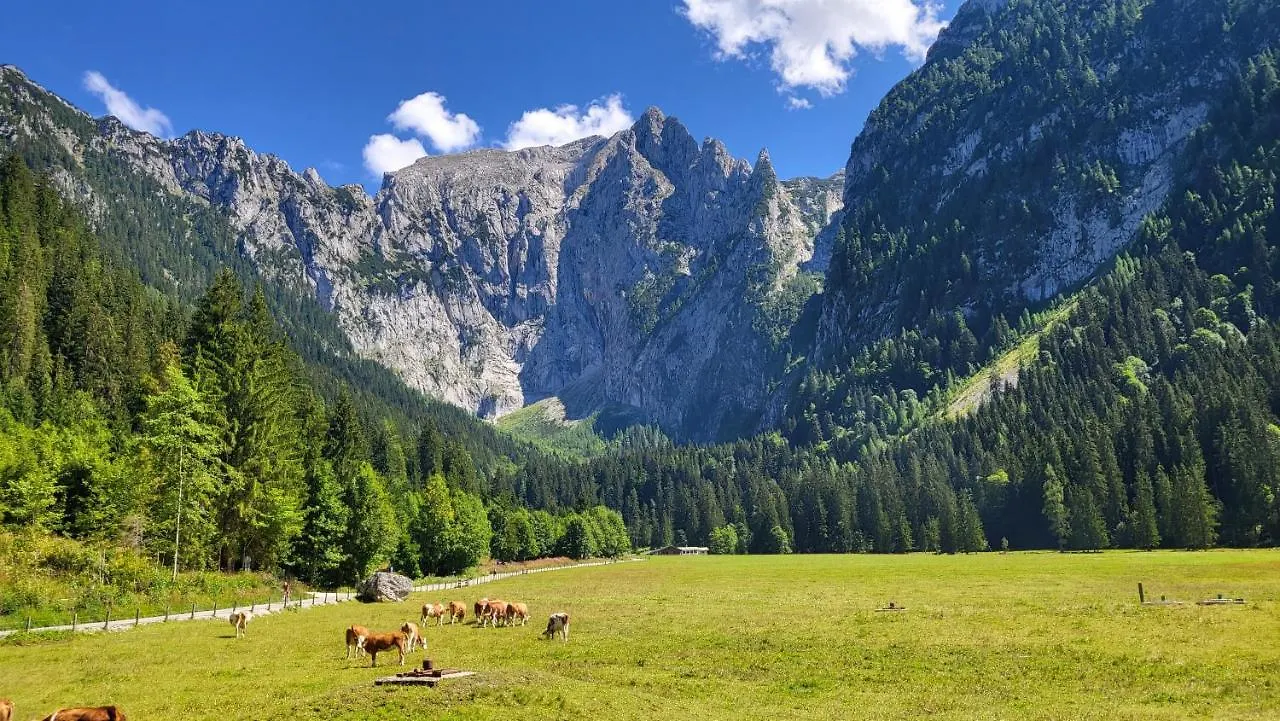 Atemberaubendes Bergpanorama und herrliche alpinen Almlandschaft 4 Nichtraucherdomizil Schönau am Königssee 0*,